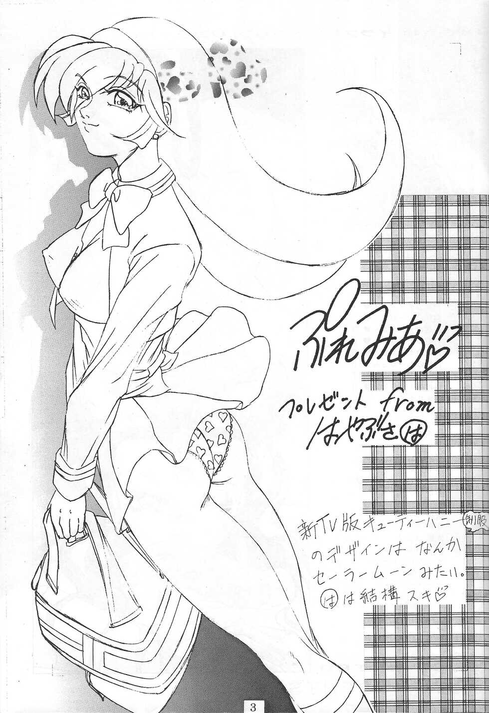 [DRESS (Hayabusa Shingo)] Premium (Various) - Page 2