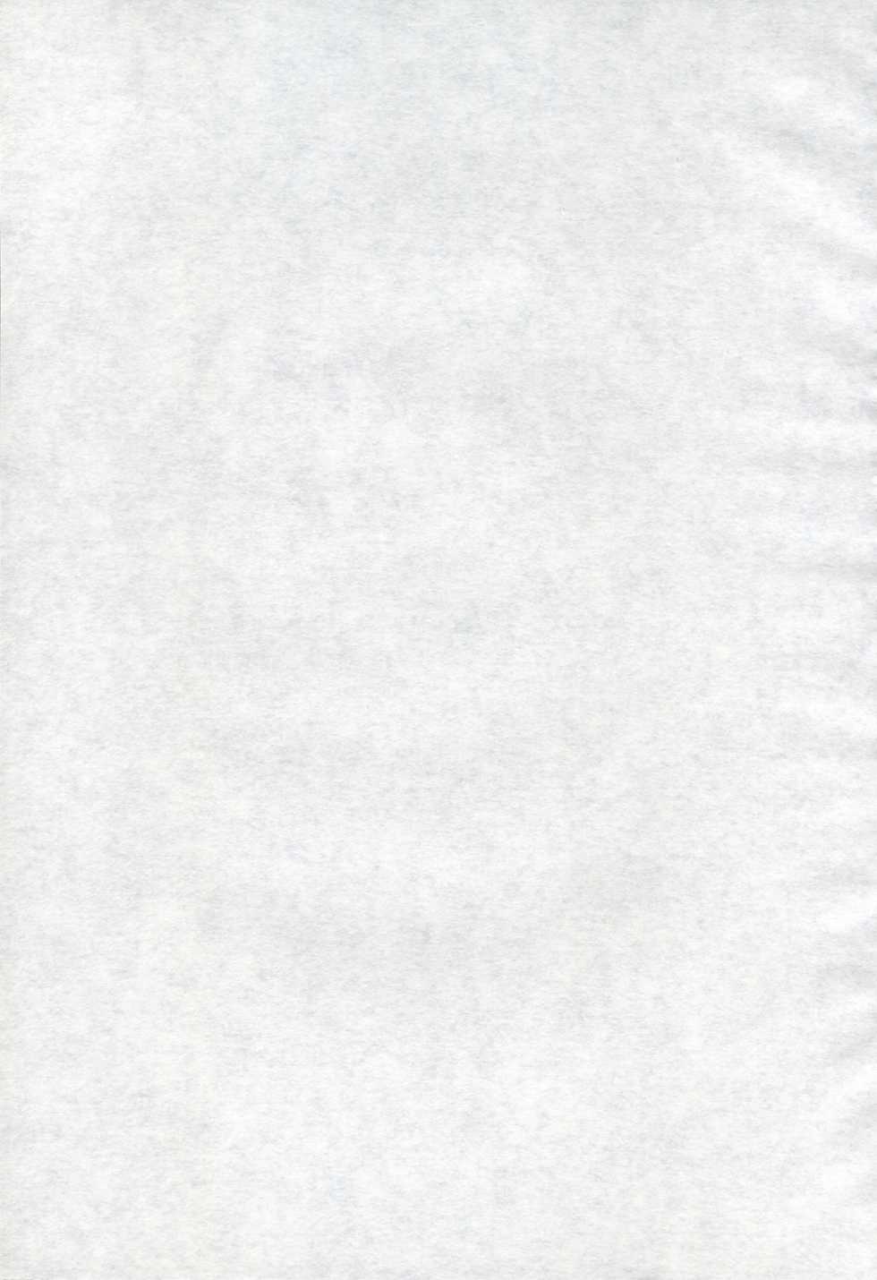 (C69) [Delta Box (Ishida Masayuki)] Toriaezu Ippatsu de (Mabinogi) - Page 2