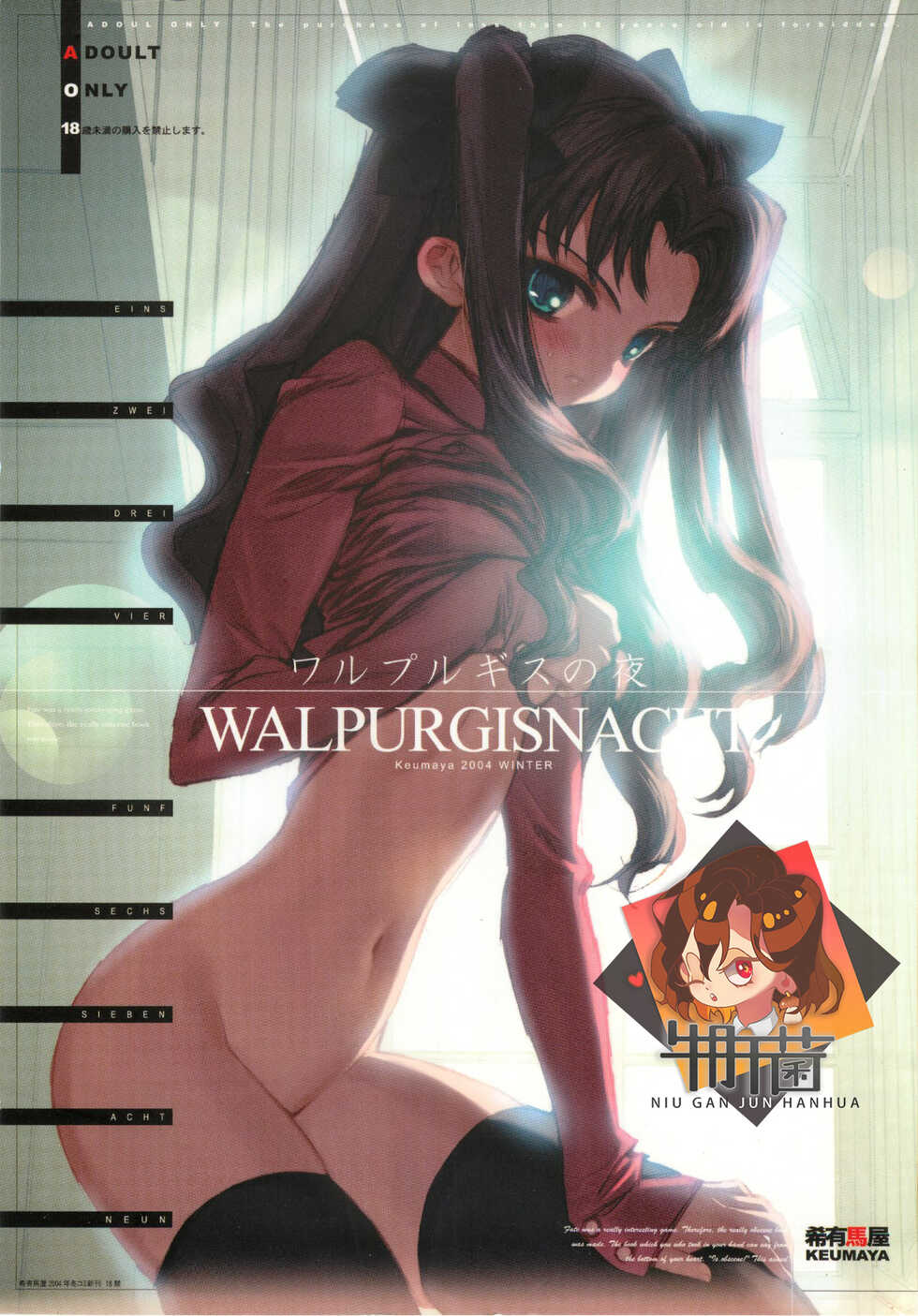 (C67) [Keumaya (Inoue Junichi)] Walpurgisnacht / Walpurgis no Yoru (Fate/stay night) [Chinese] [牛肝菌汉化] - Page 1