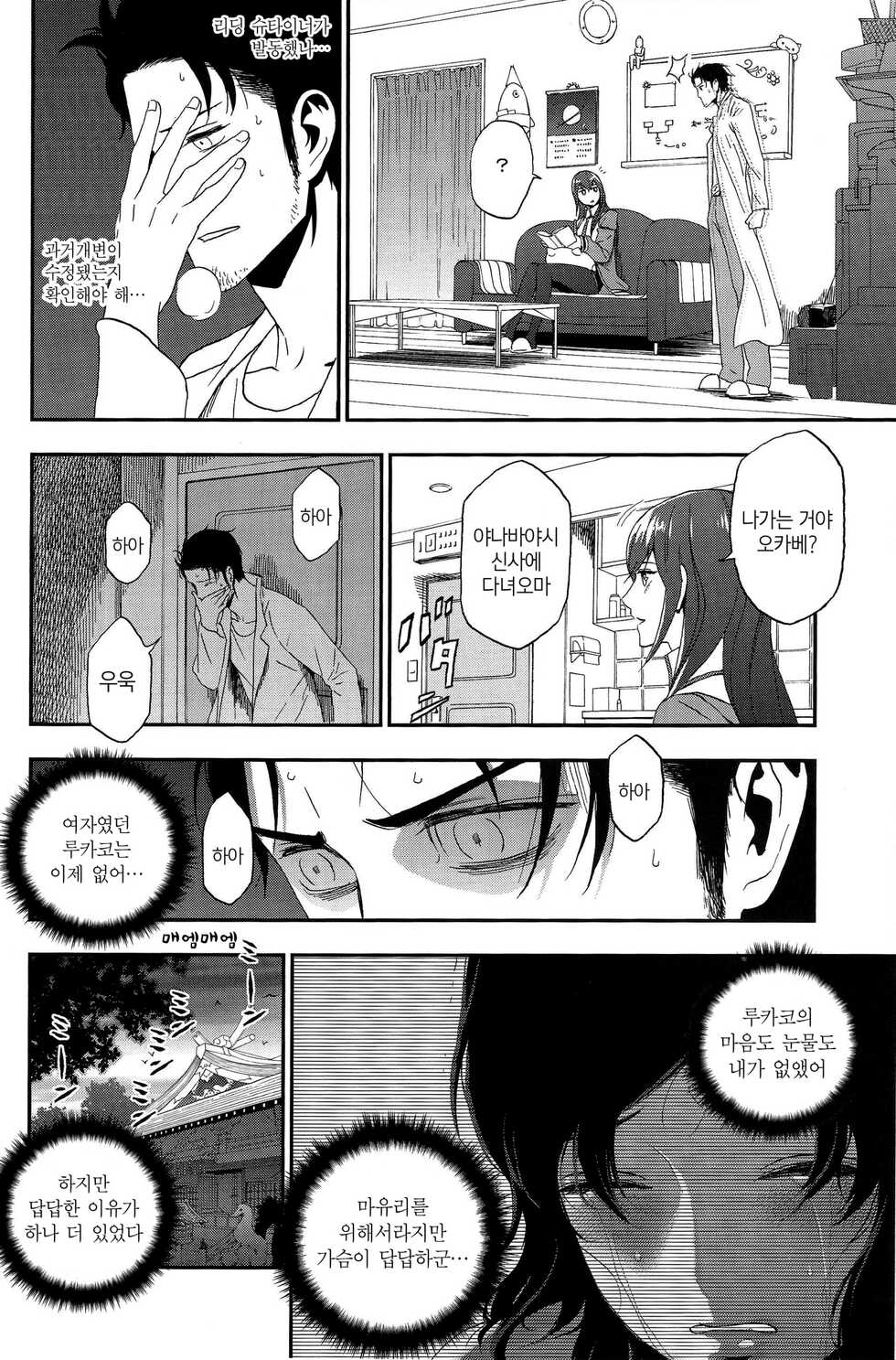 (C81) [Ikujinashi no Fetishist] Shiiseishou no Maria | 사유성창의 마리아 (Steins;Gate) [Korean] [새벽안개] - Page 20