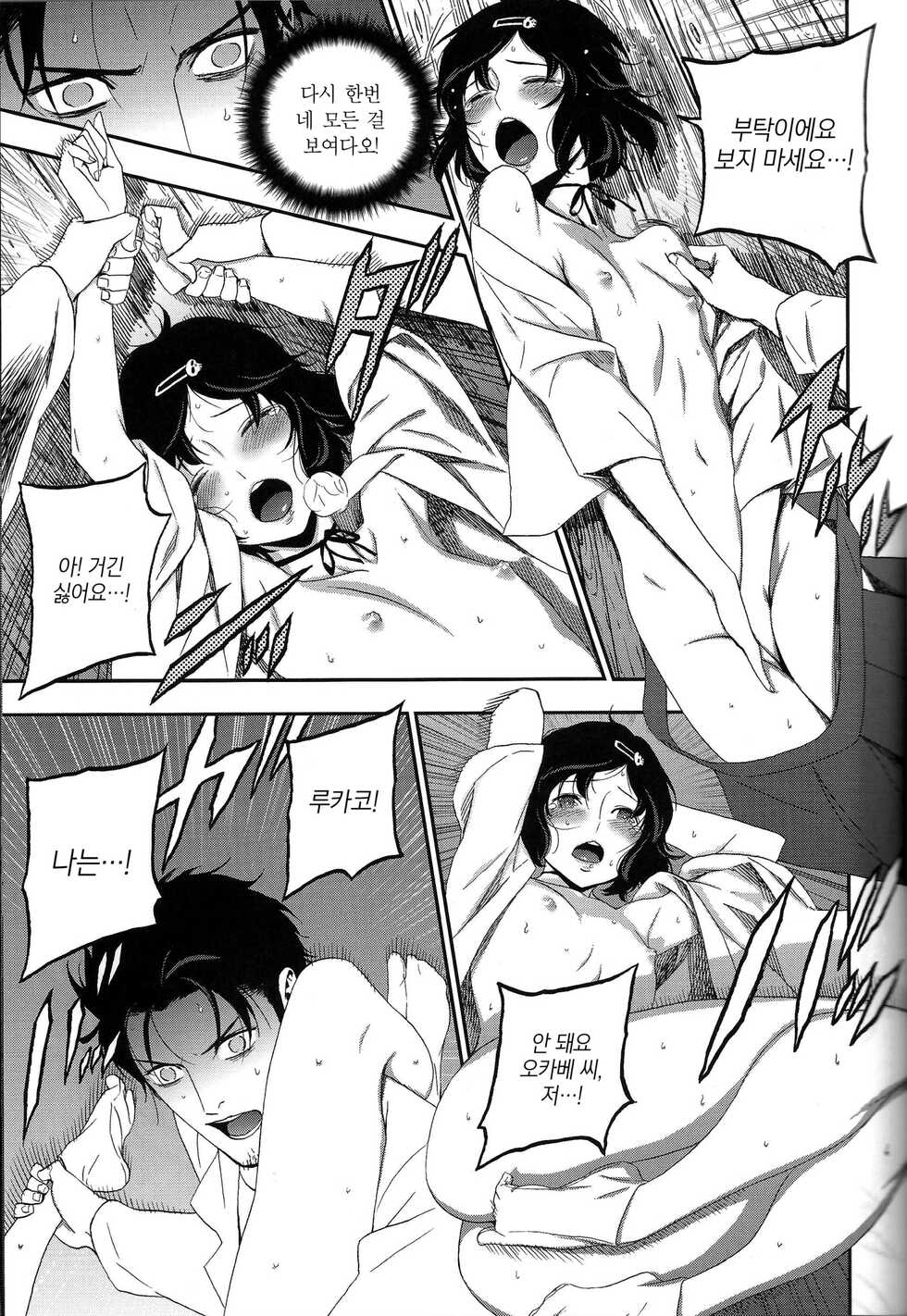 (C81) [Ikujinashi no Fetishist] Shiiseishou no Maria | 사유성창의 마리아 (Steins;Gate) [Korean] [새벽안개] - Page 23