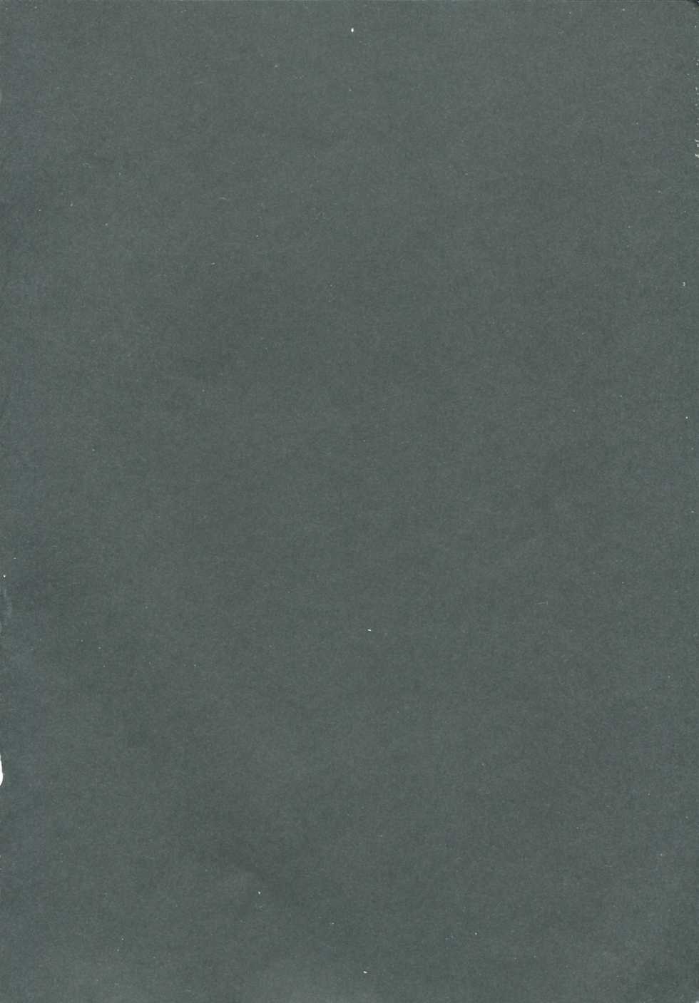 [PlatinumMaidens] Sacrifice (Guilty Gear) - Page 2