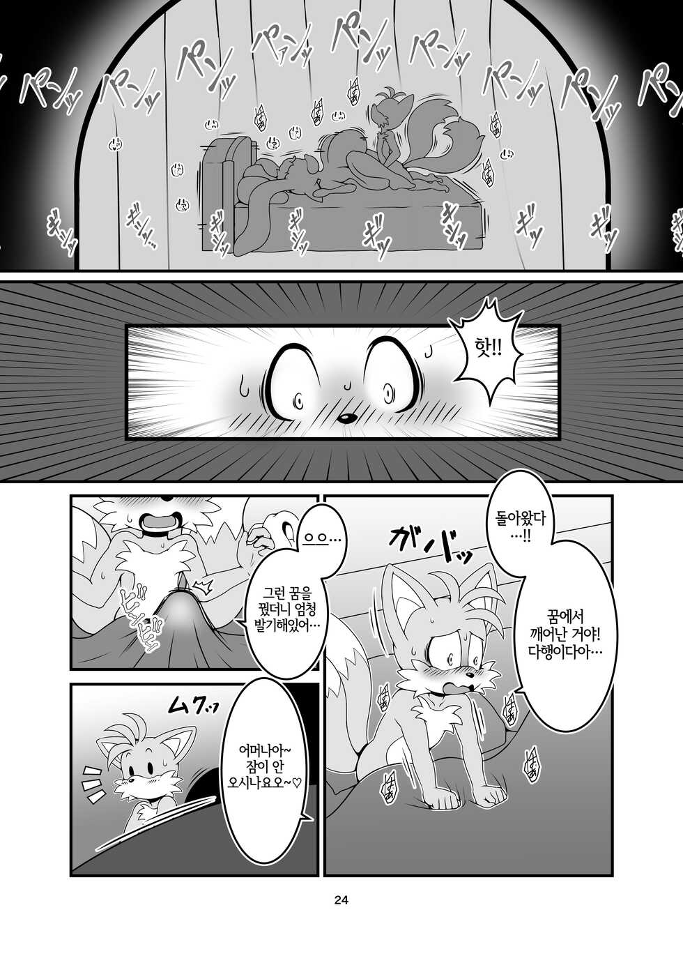 [Furry Fandom (Michiyoshi)] Kemono no Kanzume Kanzenban Gaiden 5 (Sonic the Hedgehog) [Korean] [LWND] [Digital] - Page 24