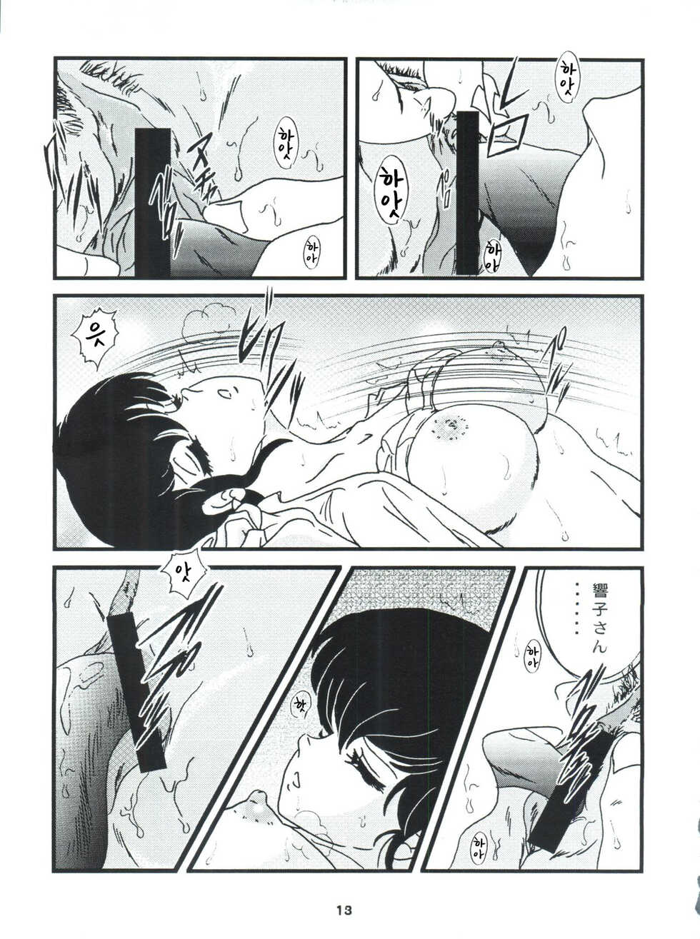 (C76) [Kaigetsudou (Jigoku Sensei Hirobe~)] Fairy 7 (Maison Ikkoku) [Korean] - Page 17