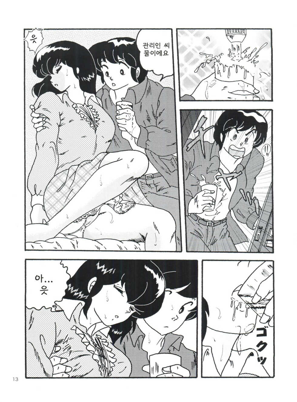 (C82) [Kaigetsudou (Jigoku Sensei Hirobe~)] Fairy 1 Sairoku Hen | Fairy 1 재록편 (Maison Ikkoku) [Korean] - Page 12