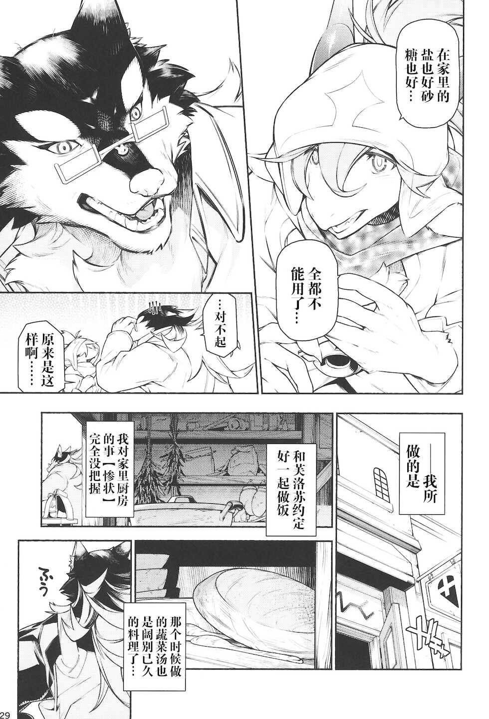 [辰ノ万屋 (ぱりぽい)] 型録 (カタログ) [Chinese] [逃亡者x真不可视汉化组] - Page 28