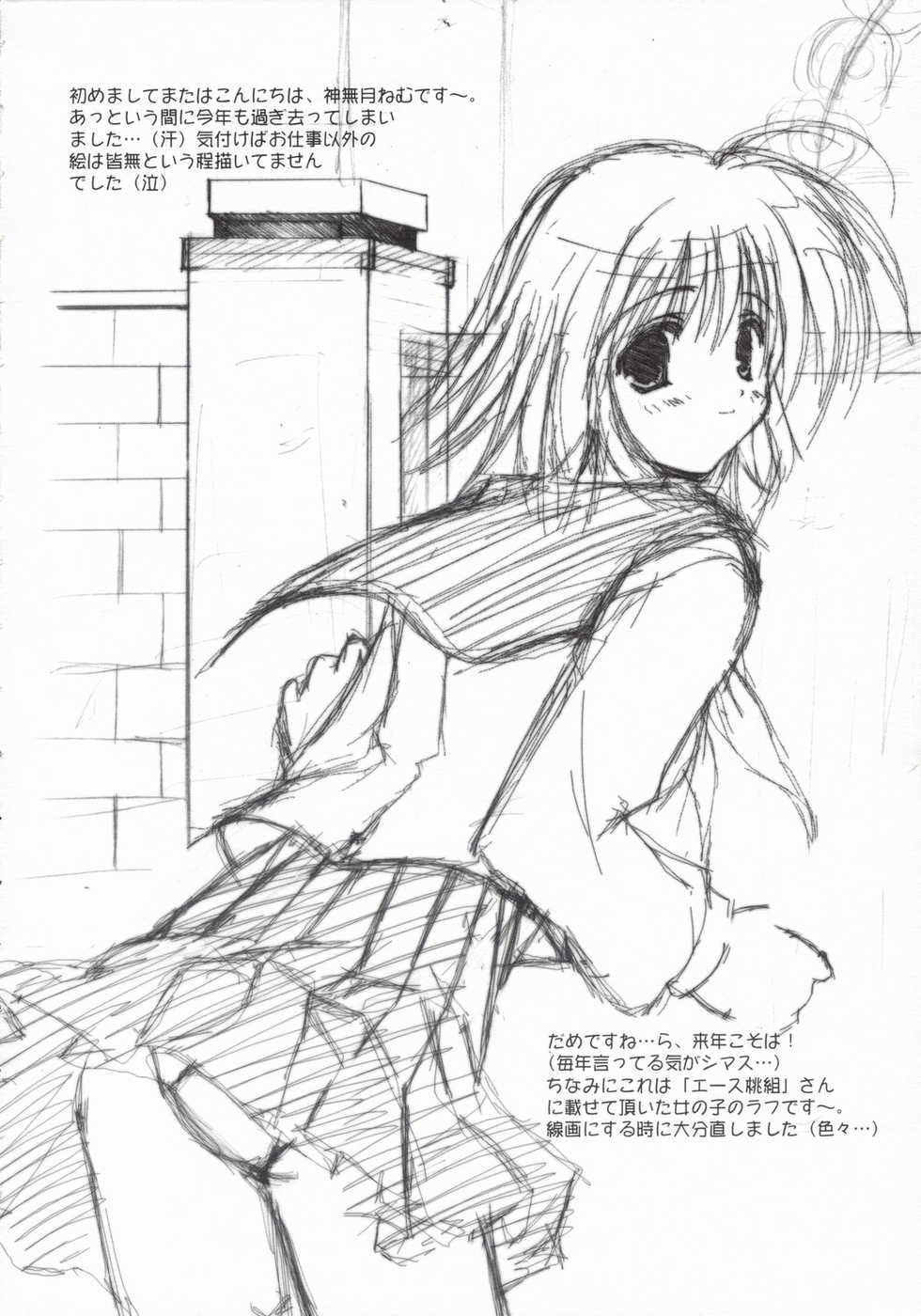 (C65) [A.L.C. (Kannazuki Nem)] Angel Love Collection 2003 ver. (Ragnarok Online) - Page 3