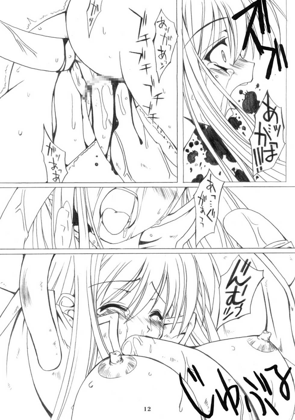 (C69) [SION (Hotori)] ASSUMPTIO (Ragnarok Online) - Page 11