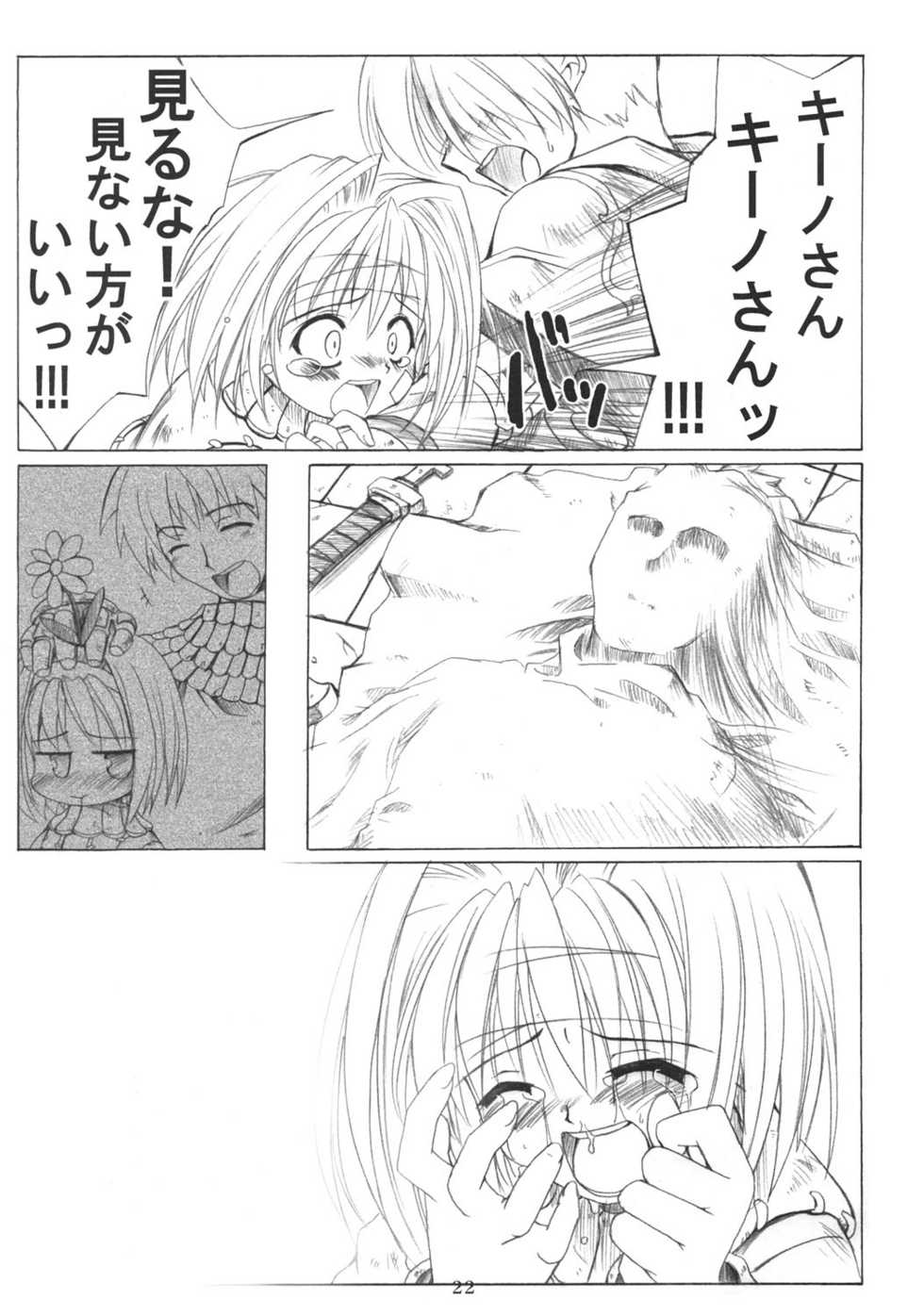 (C69) [SION (Hotori)] ASSUMPTIO (Ragnarok Online) - Page 21
