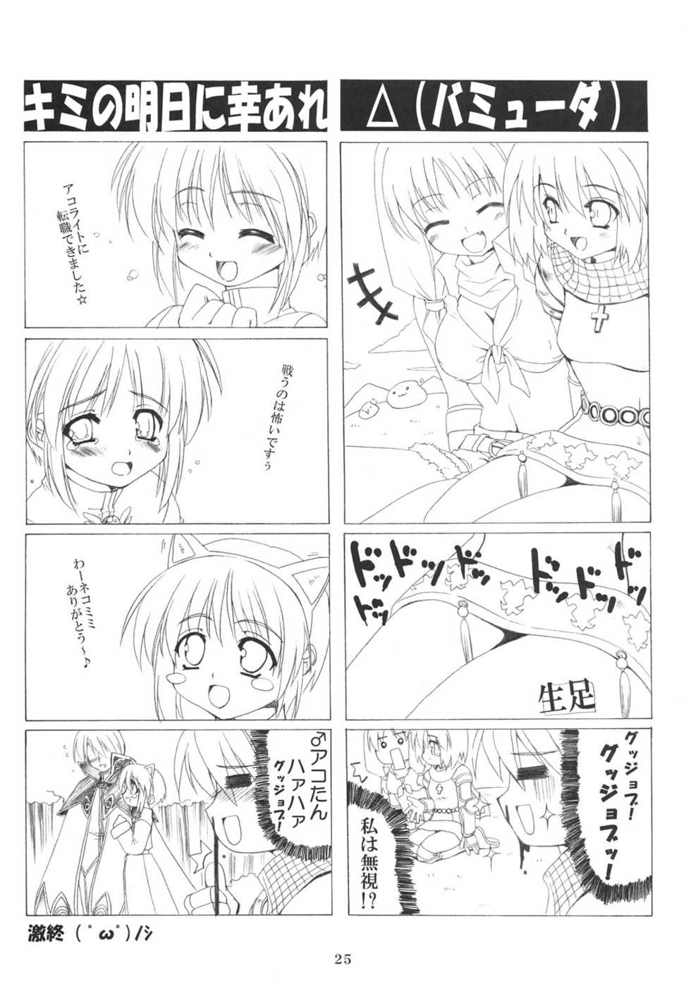 (C69) [SION (Hotori)] ASSUMPTIO (Ragnarok Online) - Page 24