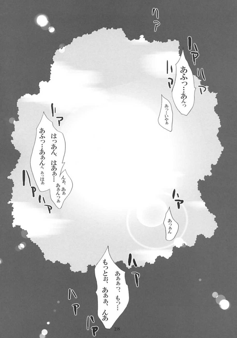 (C69) [SION (Hotori)] ASSUMPTIO (Ragnarok Online) - Page 27
