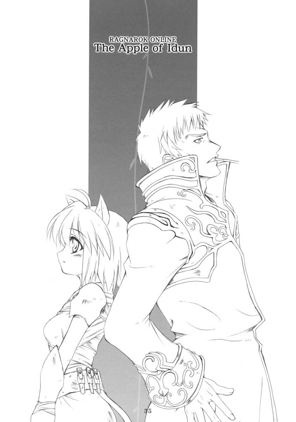 (C69) [SION (Hotori)] ASSUMPTIO (Ragnarok Online) - Page 34