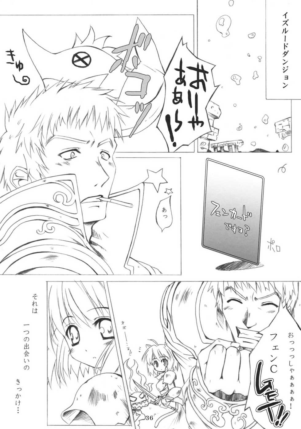 (C69) [SION (Hotori)] ASSUMPTIO (Ragnarok Online) - Page 35