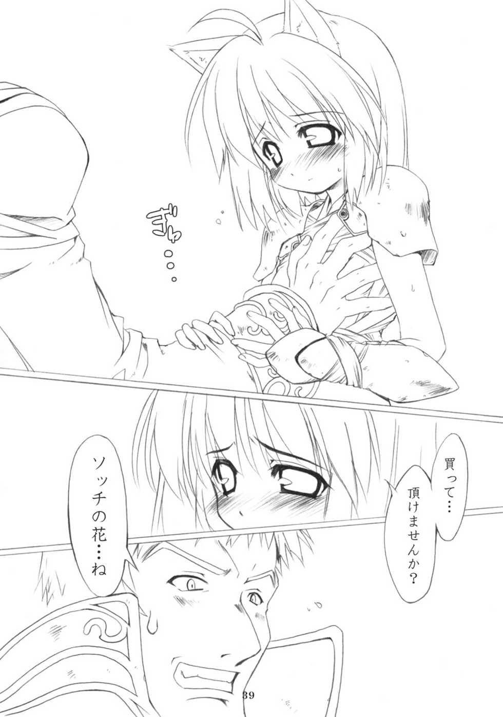 (C69) [SION (Hotori)] ASSUMPTIO (Ragnarok Online) - Page 38