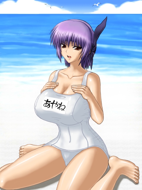 [Studio MCR. (Mucoro)] DOA School Swimsuit Ayane. (Dead or Alive) - Page 27