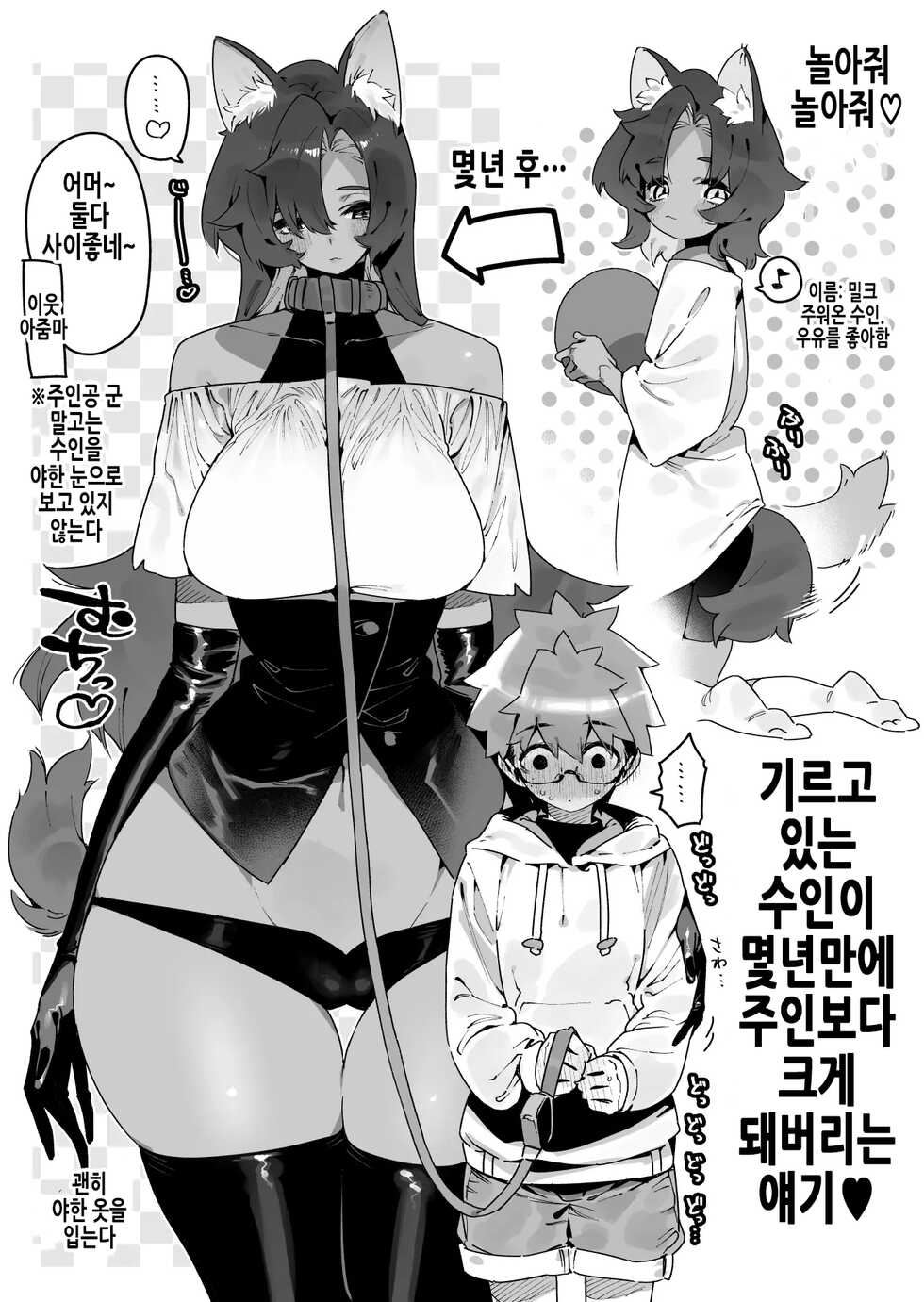 [Gyuutan Teishoku e no Koi] FANBOX [Korean] - Page 12