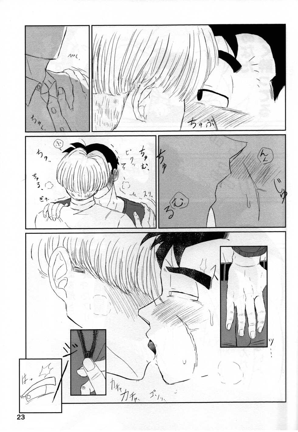 (SUPER29) [Suihan Club (Various)] 2022 Nen Ban Tadashii Dakikata (Dragon Ball Z) - Page 23