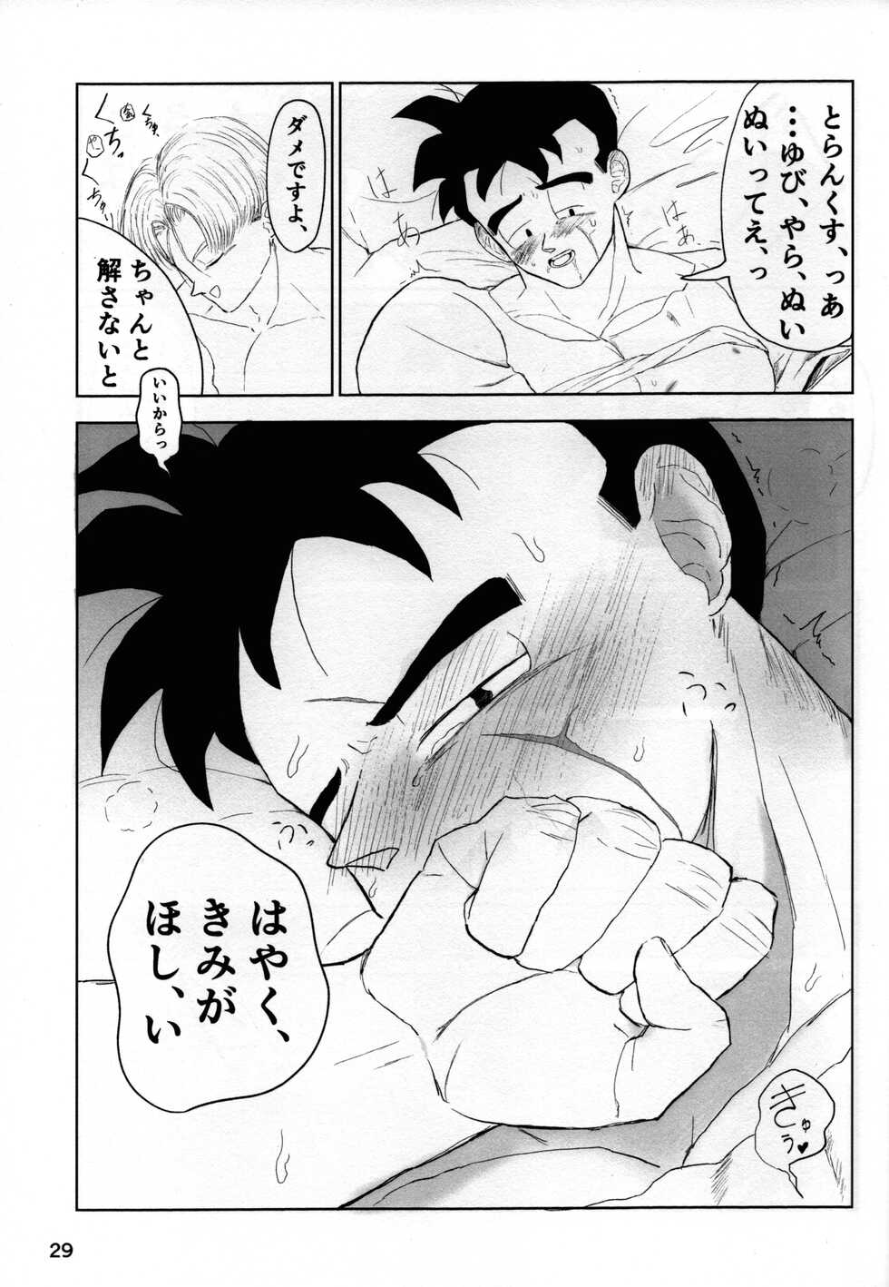 (SUPER29) [Suihan Club (Various)] 2022 Nen Ban Tadashii Dakikata (Dragon Ball Z) - Page 29