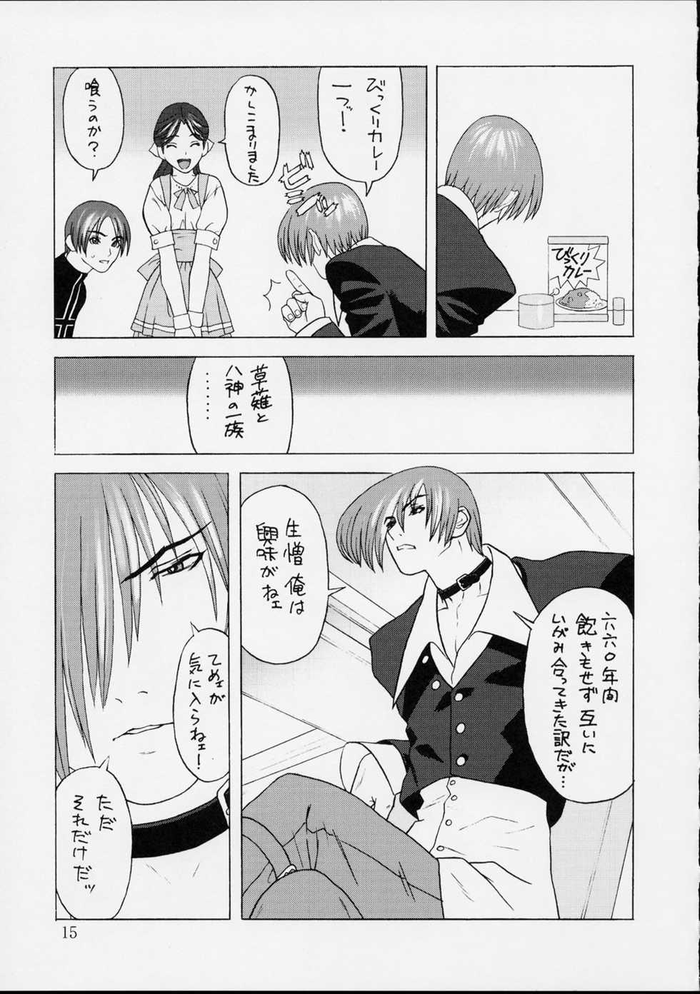 [Harimaya (Ouma Bunshichirou)] Shunkashuutou Ni (Garou Densetsu) - Page 14