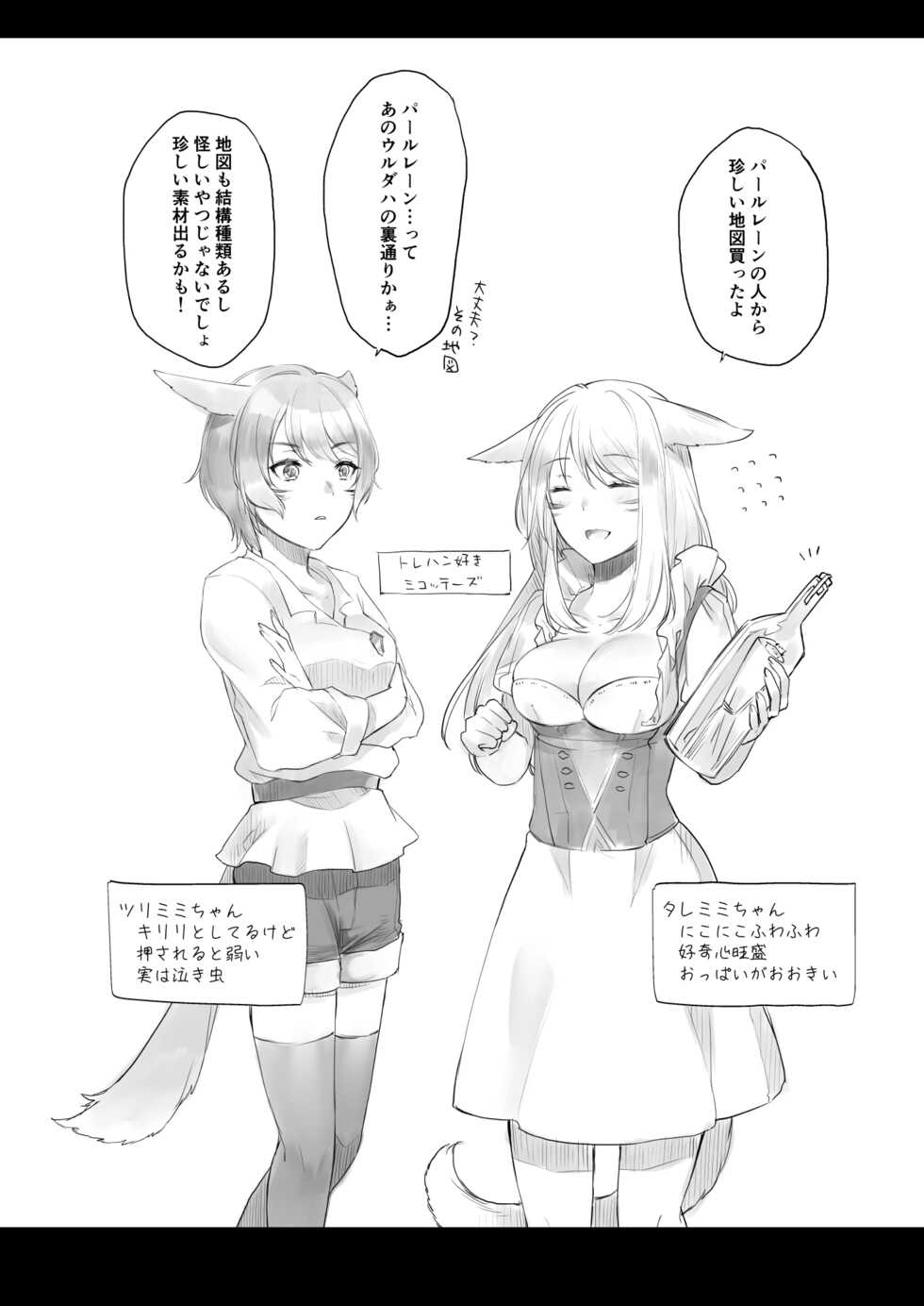 [Unidentified Flying Baumkuchen (Nanase Kokono)] Fuuin Sareta Chizu G1 ~Kyoufu no Isekai Tensou Mamou~ (Final Fantasy XIV) [Digital] - Page 3