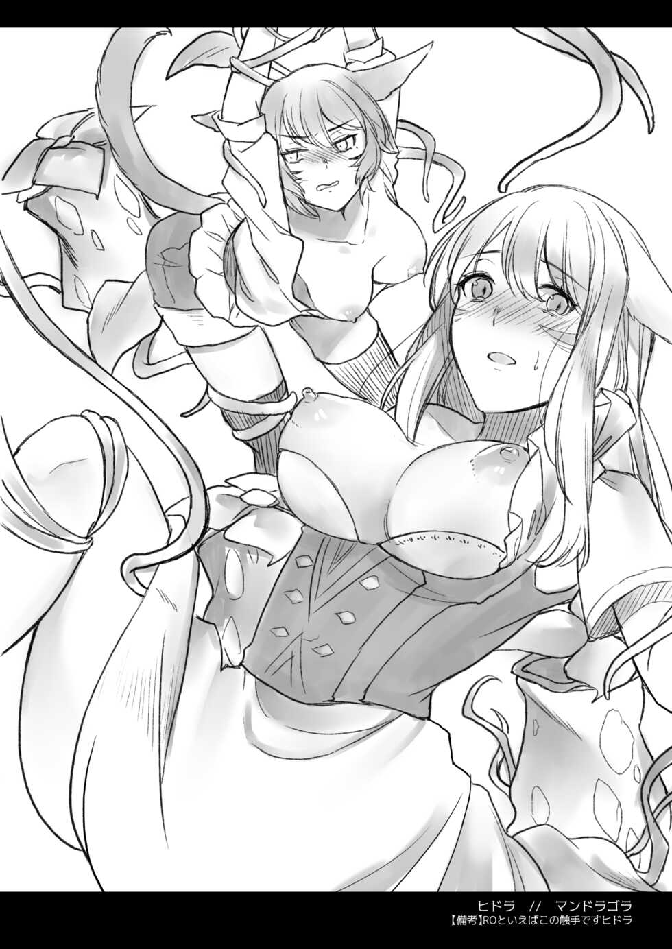 [Unidentified Flying Baumkuchen (Nanase Kokono)] Fuuin Sareta Chizu G1 ~Kyoufu no Isekai Tensou Mamou~ (Final Fantasy XIV) [Digital] - Page 7