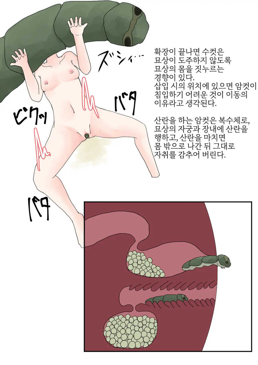 [Amano Teru] Oomushikaisetuzukan [Korean] [LWND] - Page 12