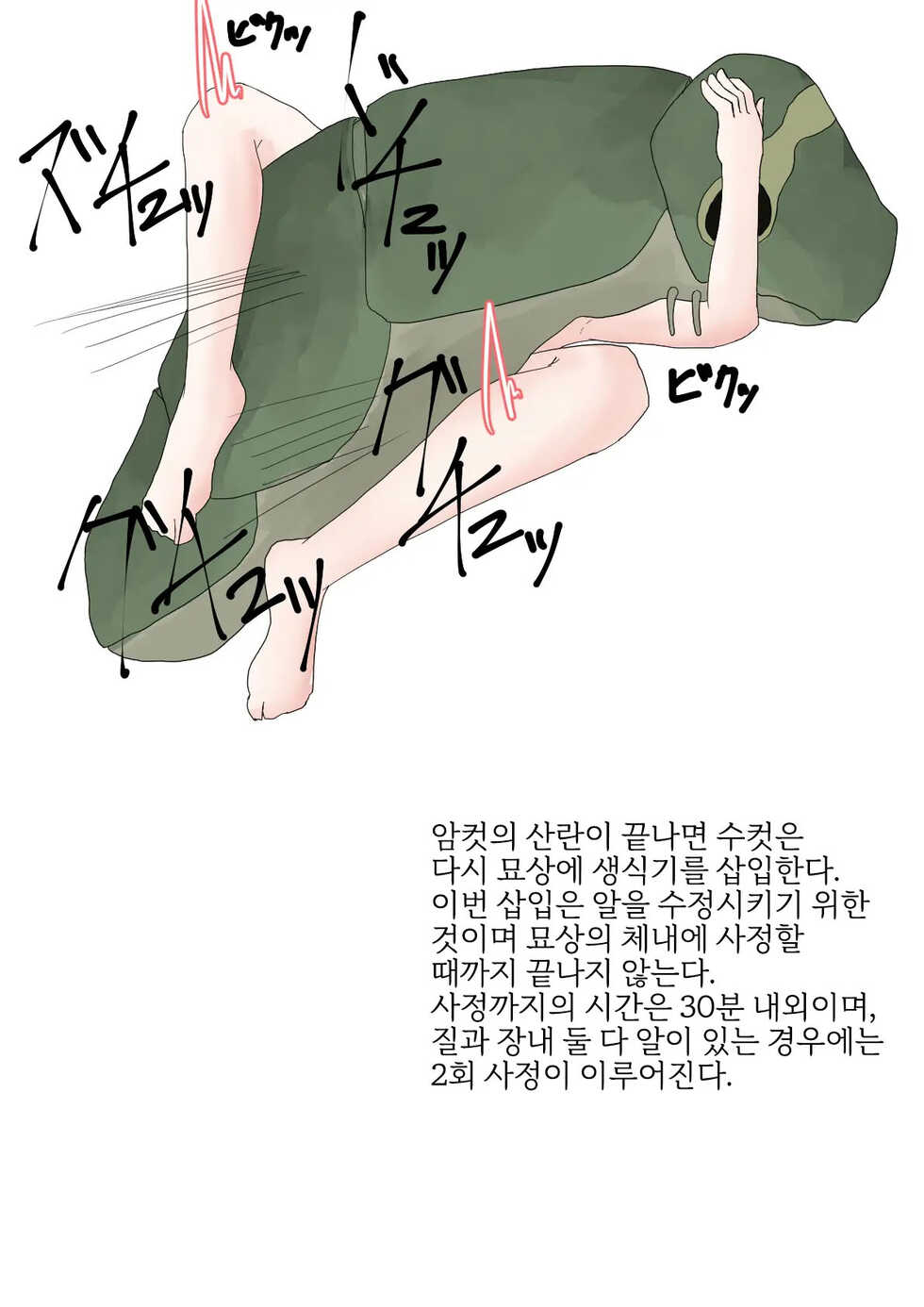 [Amano Teru] Oomushikaisetuzukan [Korean] [LWND] - Page 13