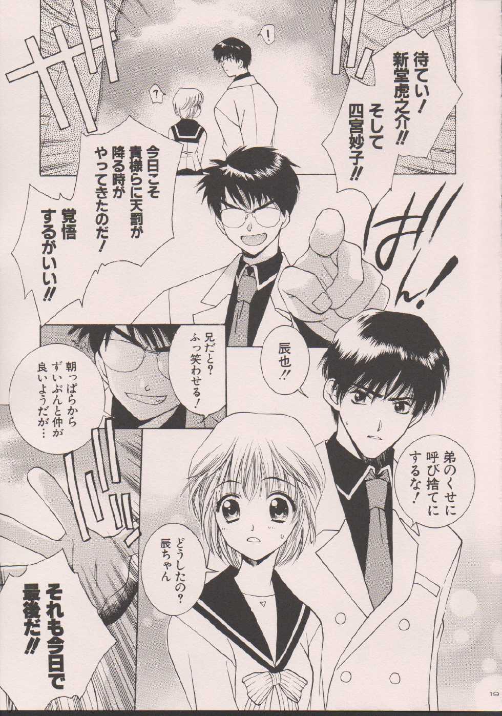 (C63) [TOTSUGEKI WOLF(Yuhki Mitsuru)] DENGEKI-KEI - Page 18