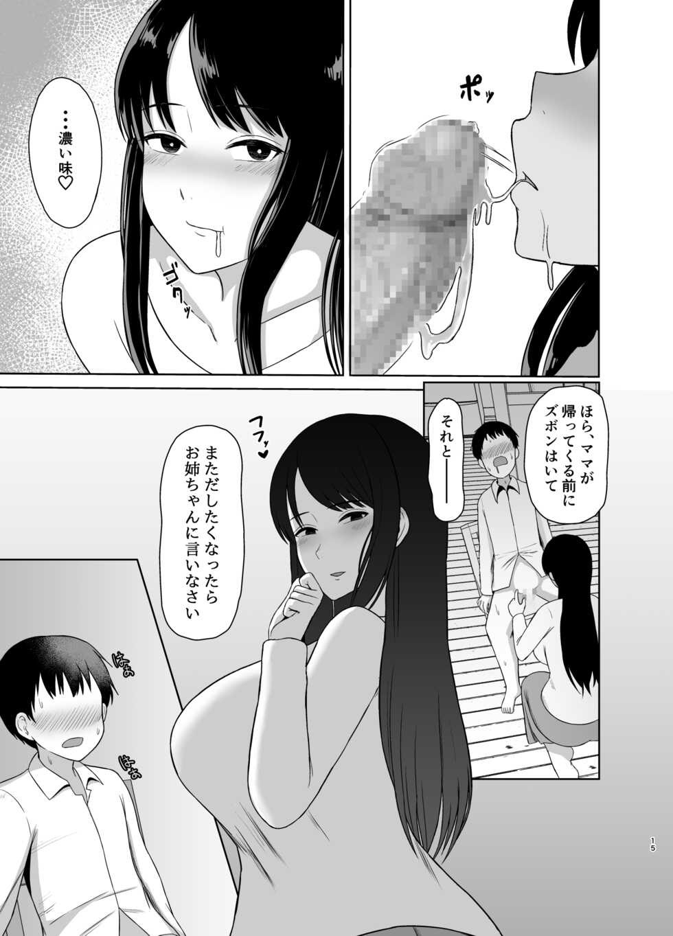 [Saitou Renji] Kaette Kita Onee-chan - Page 15
