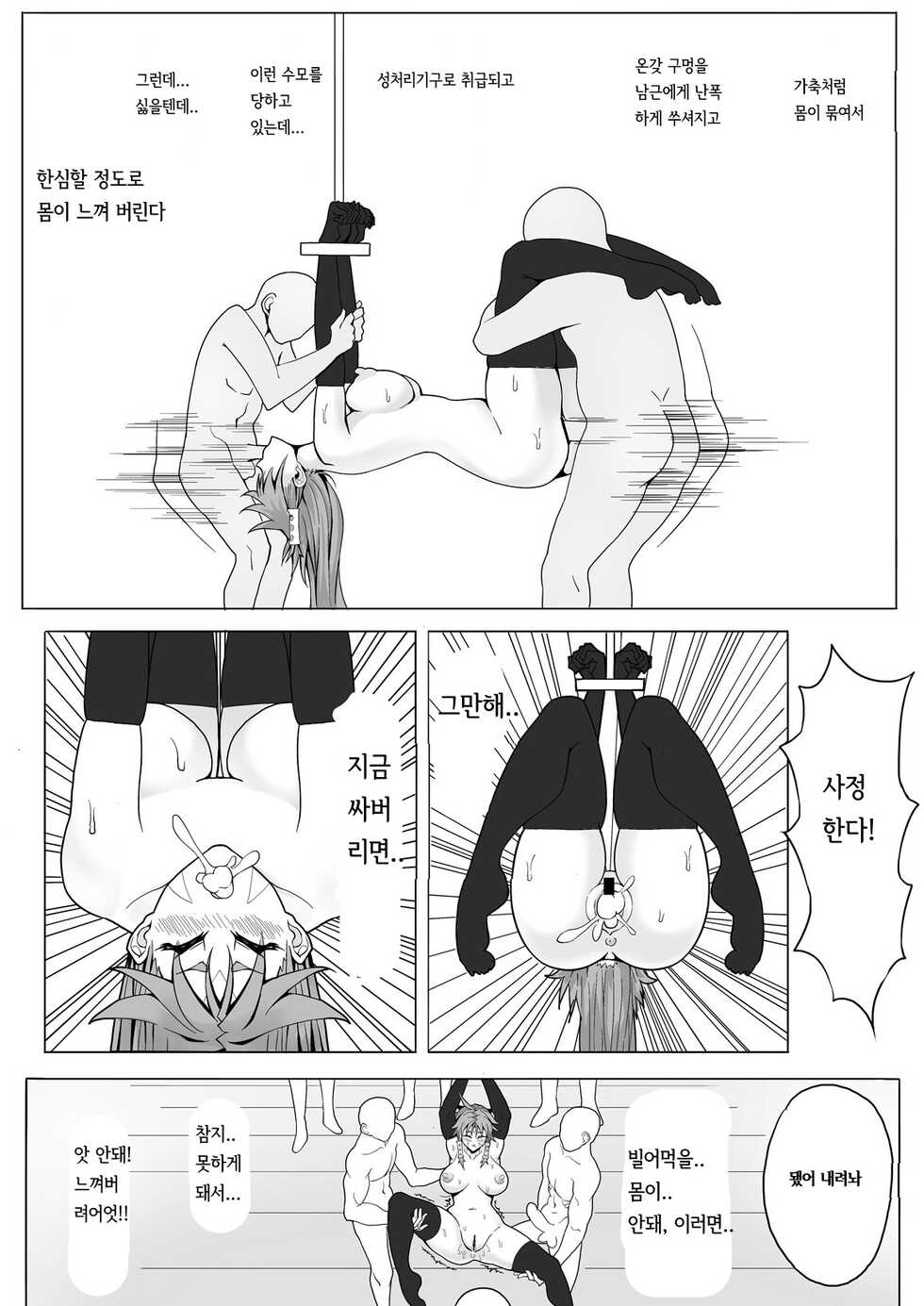 [17H] Sanzoku Joou Hobaku Rinjoku | 산적여왕 포박윤간능욕 [Korean] - Page 9