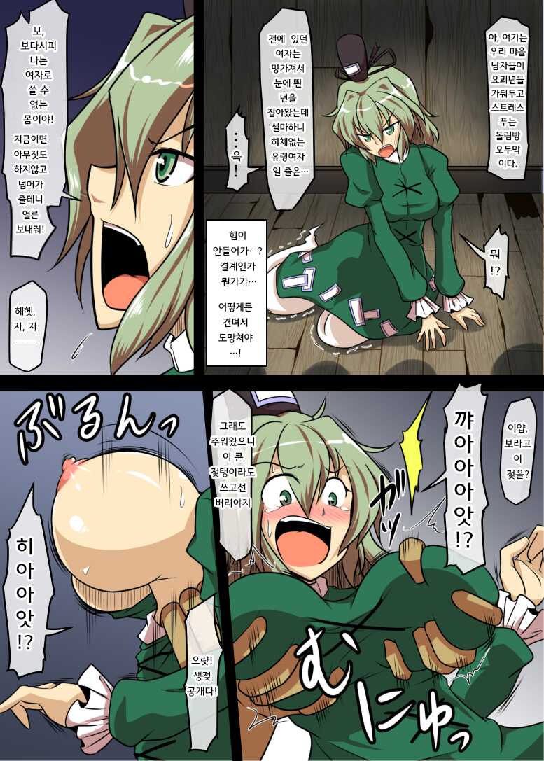 [Shimofuri Green Meat (Midori Niku)] Kawaisou na Tojiko-san | 가여운 토지코 씨 (Touhou Project) [Korean] [도레솔] [Digital] - Page 3