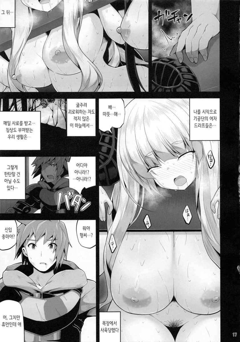 (C88) [Danikuya-san (Shiroie Mika)] Mesudraph no Bokujou | 암컷드라프 목장 (Granblue Fantasy) [Korean] - Page 17