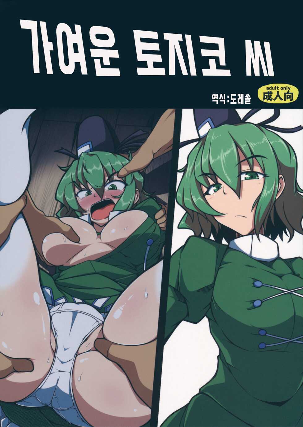 (Reitaisai 14) [Shimofuri Green Meat (Midori Niku)] Kawaisou na Tojiko-san | 가여운 토지코 씨 (Touhou Project) [Korean] [도레솔] - Page 1