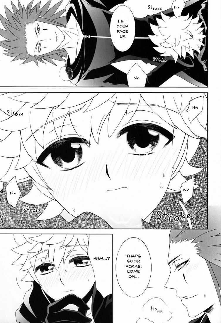 (C78) [CUBE (hana)] Apprehension (Kingdom Hearts) [English] [arix] - Page 14