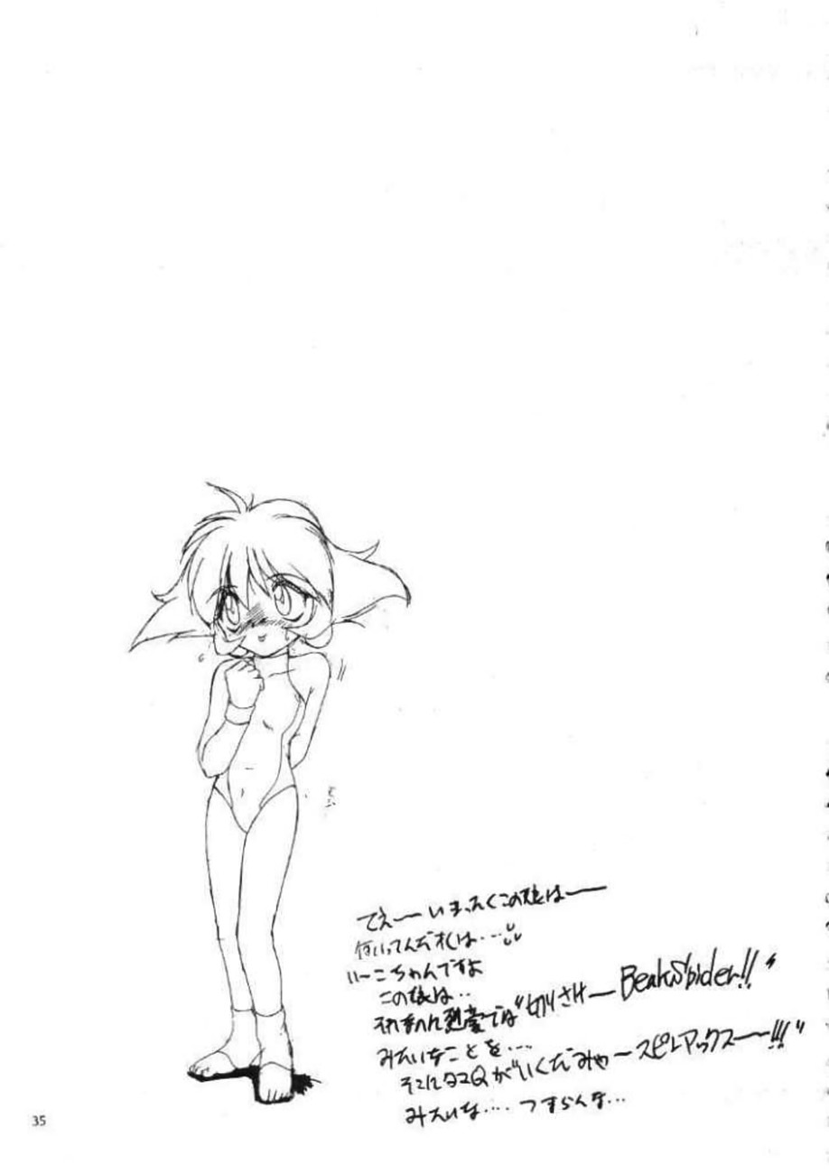 [RoriE-Do (Saeki Takao)] VS Kishi no Honoo no Challenger (VS Knight Lamune &40 Fire) - Page 34