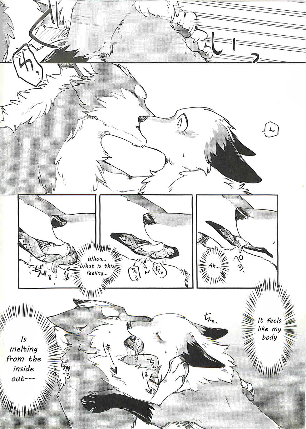 (Kansai! Kemoket 5) [D-Point! (Diga Tsukune)] Yume Utsutsu Lovage [English] [cophase] [Decensored] - Page 17