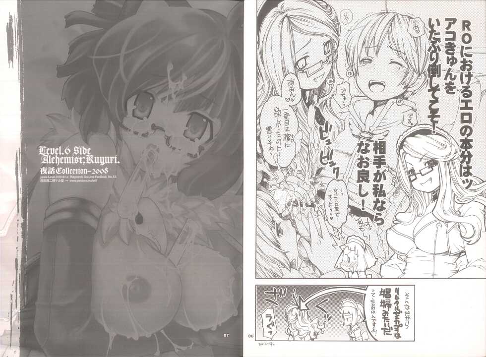 (C74) [Seinansei ni Kagayakeru Hoshi (Morino Papiko)] Yawa Collection vol.3 (Ragnarok Online) - Page 4