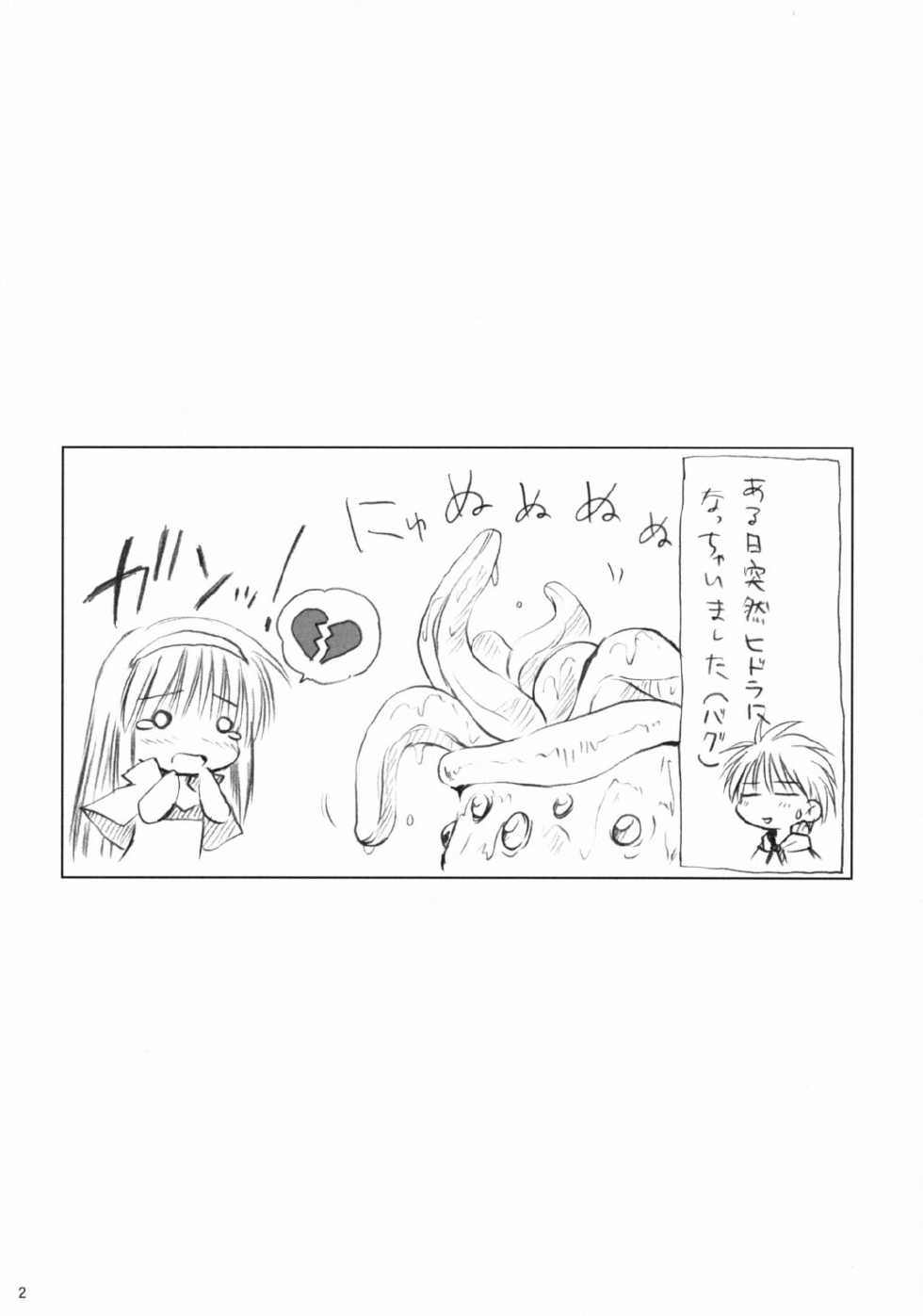 (CR32) [Mizukidou (Mizuki Takehito)] Hajishoku (Ragnarok Online) - Page 2