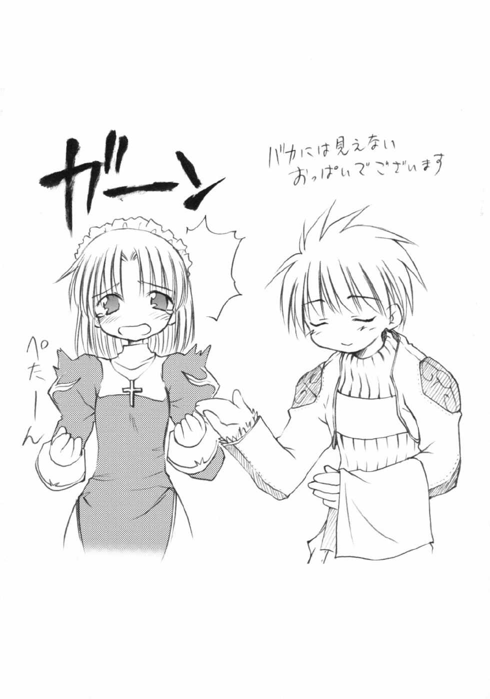 (CR32) [Mizukidou (Mizuki Takehito)] Hajishoku (Ragnarok Online) - Page 16