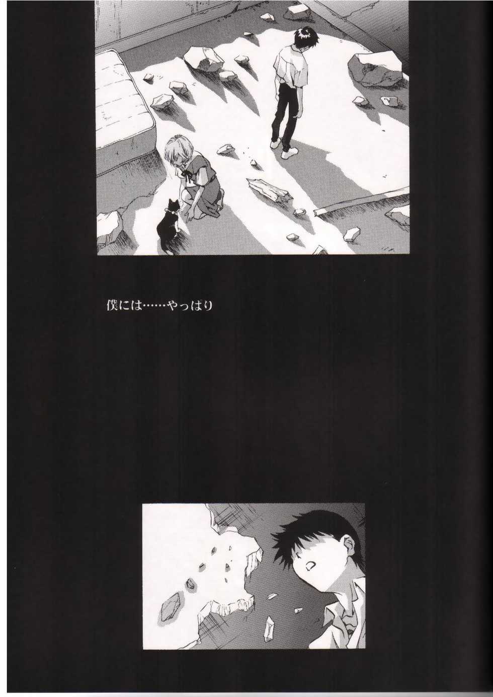 [Henreikai (Kawarajima Koh)] AYANAMI SUMMIT (Neon Genesis Evangelion) - Page 30