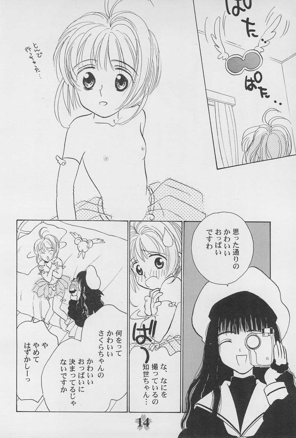 (C53) [Rocket Kyoudai (Rocket Kyoudai, Fujiwara Hisashi)] Kero-chan to Issho!! (Cardcaptor Sakura) - Page 16