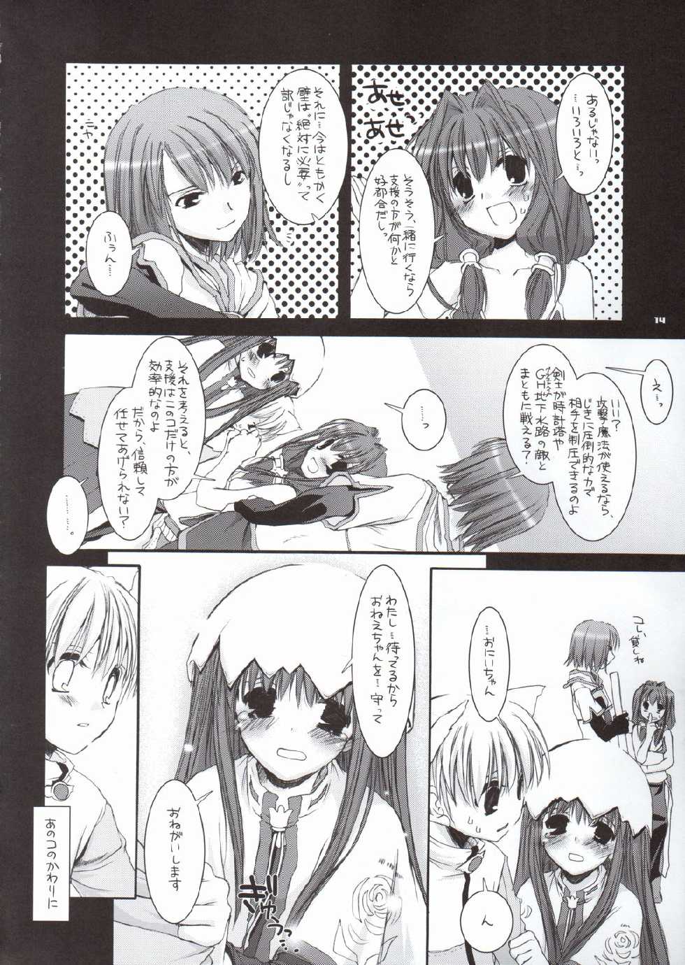 (CR37) [Digital Lover (Nakajima Yuka)] D.L. Action 29 (Ragnarok Online) - Page 13