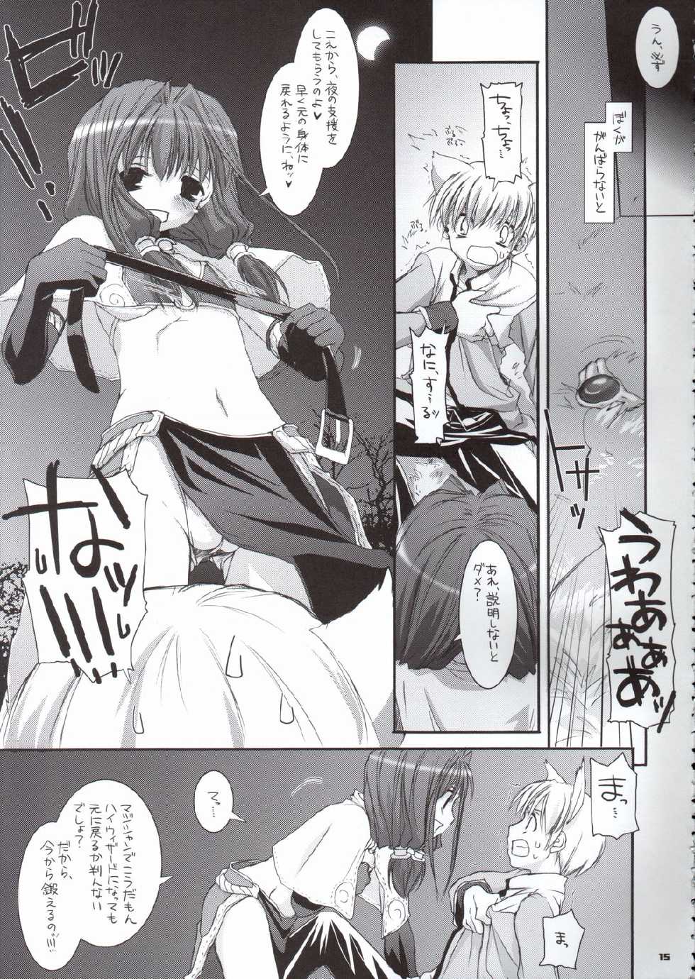 (CR37) [Digital Lover (Nakajima Yuka)] D.L. Action 29 (Ragnarok Online) - Page 14