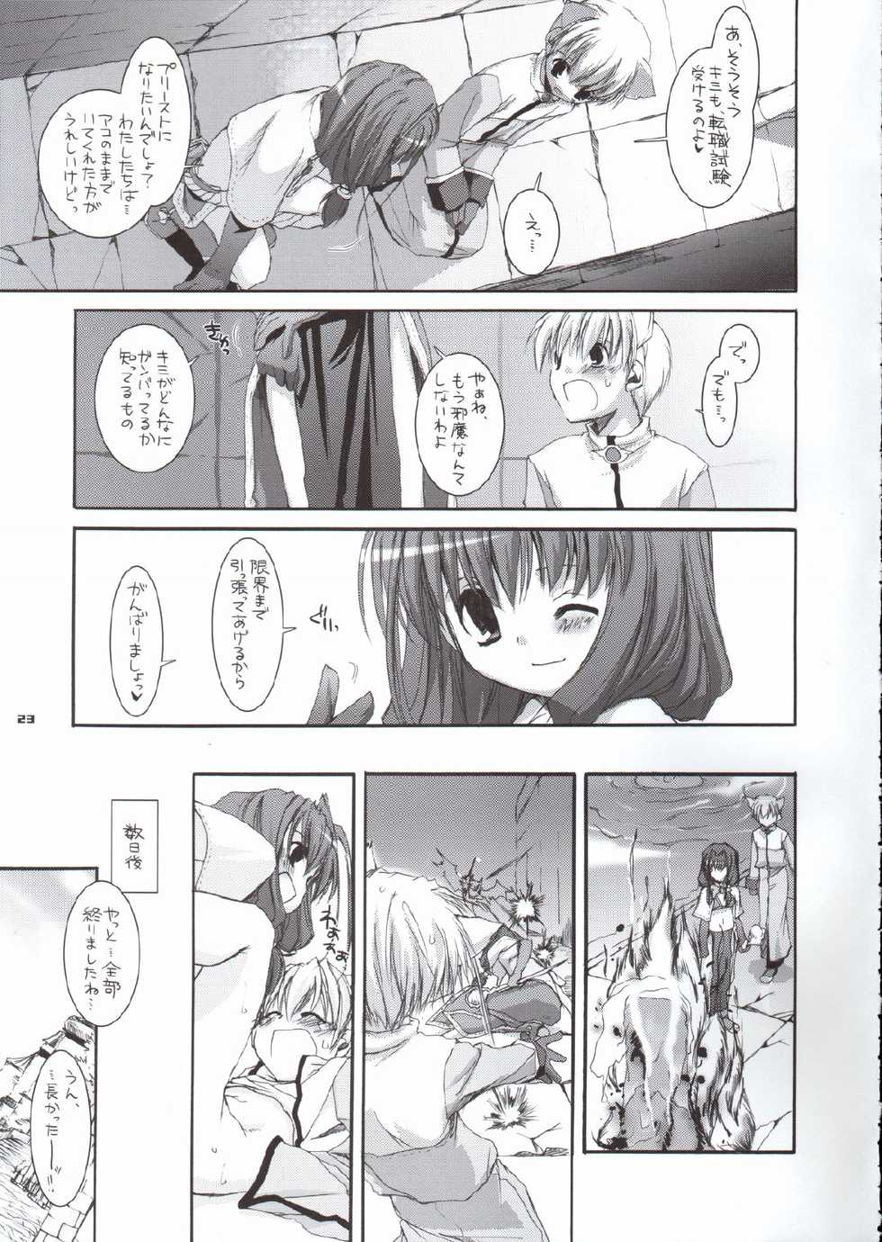 (CR37) [Digital Lover (Nakajima Yuka)] D.L. Action 29 (Ragnarok Online) - Page 22