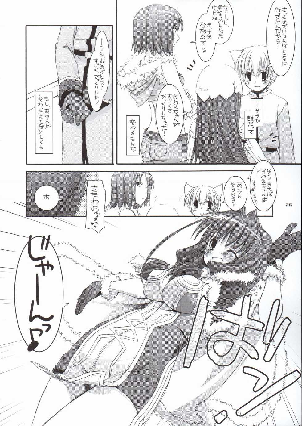 (CR37) [Digital Lover (Nakajima Yuka)] D.L. Action 29 (Ragnarok Online) - Page 25