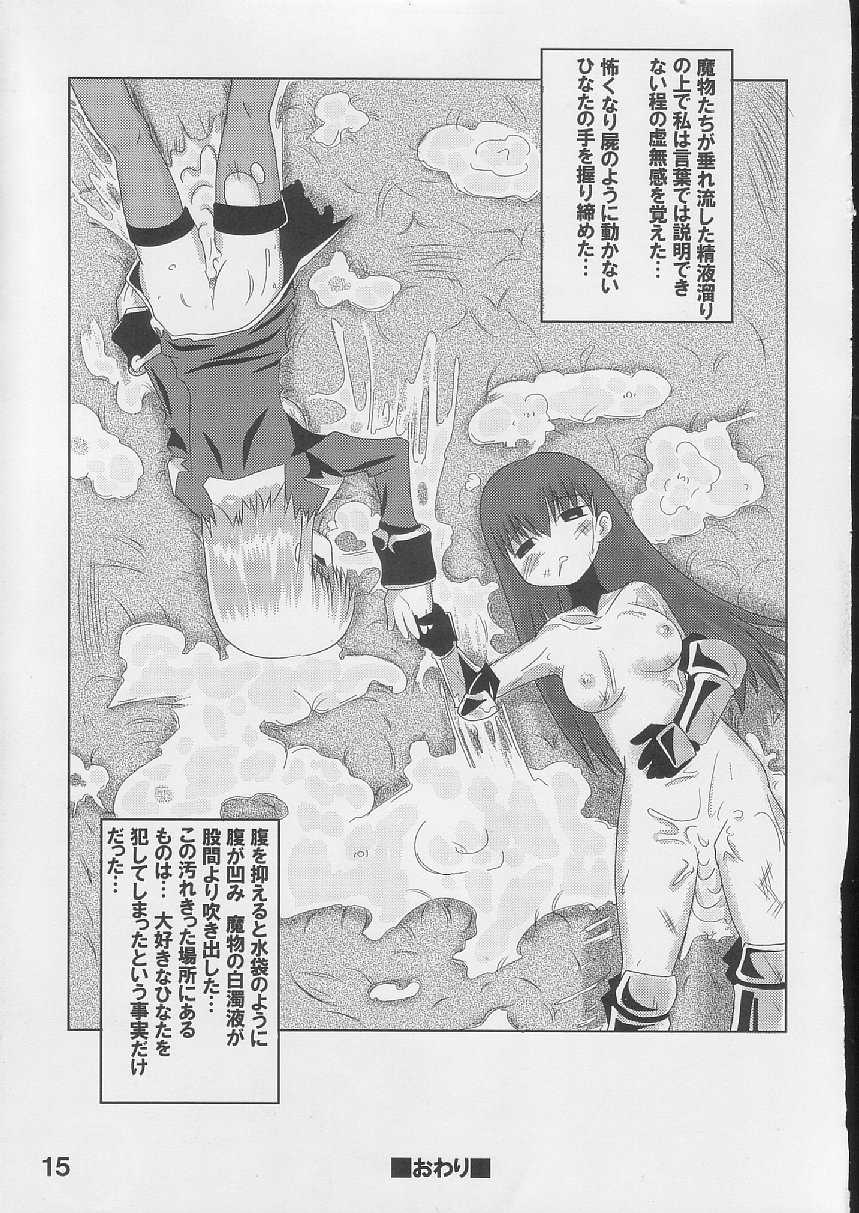 [S-FORCE (Raina, Ryouta, Serebi Ryousangata)] Daiseiten (Ragnarok Online) - Page 14