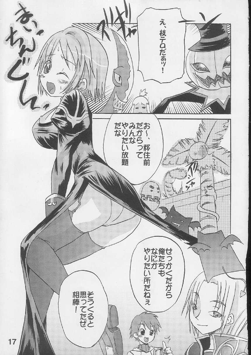 [S-FORCE (Raina, Ryouta, Serebi Ryousangata)] Daiseiten (Ragnarok Online) - Page 16