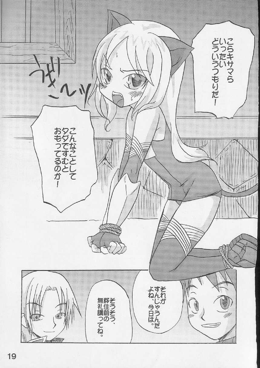 [S-FORCE (Raina, Ryouta, Serebi Ryousangata)] Daiseiten (Ragnarok Online) - Page 18