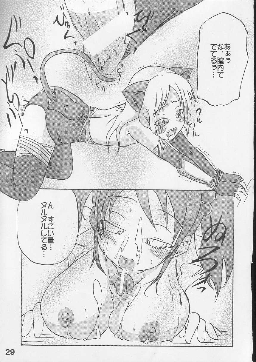 [S-FORCE (Raina, Ryouta, Serebi Ryousangata)] Daiseiten (Ragnarok Online) - Page 28