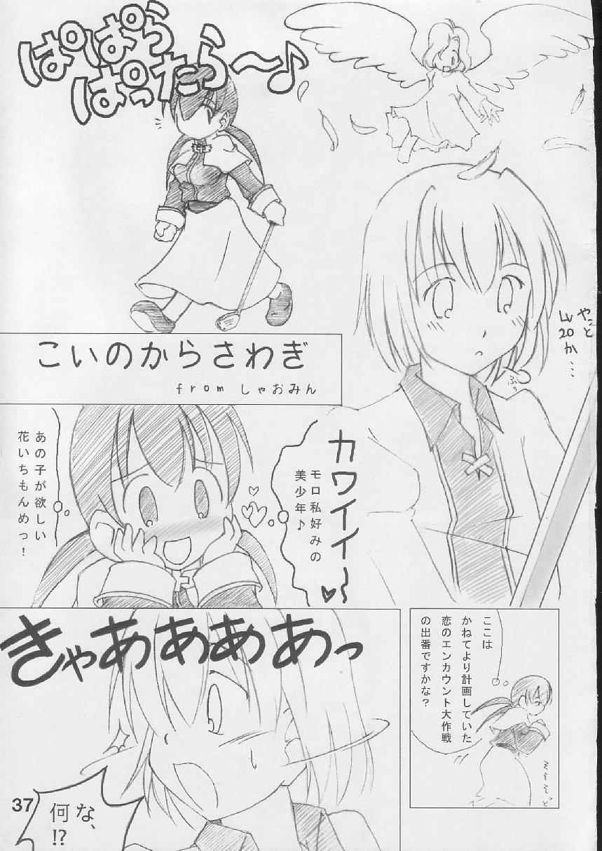 [S-FORCE (Raina, Ryouta, Serebi Ryousangata)] Daiseiten (Ragnarok Online) - Page 36